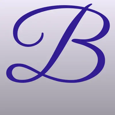 Boxx, сеть салонов, лого-визитка